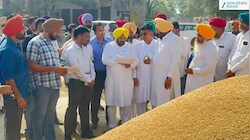 ਪੰਜਾਬ ਵਿੱਚ ਝੋਨੇ ਦੀ ਸਰਕਾਰੀ ਖਰੀਦ ਸ਼ੁਰੂ, ਮੰਤਰੀ ਹਰਭਜਨ ਸਿੰਘ ETO ਨੇ ਗਹਿਰੀ ਮੰਡੀ ਵਿੱਚ ਕੀਤਾ ਉਦਘਾਟਨ