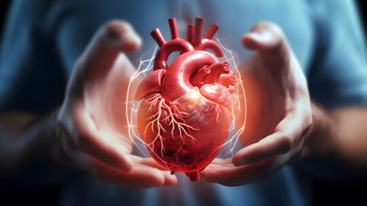 Heart Attack Risk
