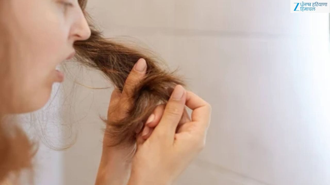 Frizzy Hair Care Routine