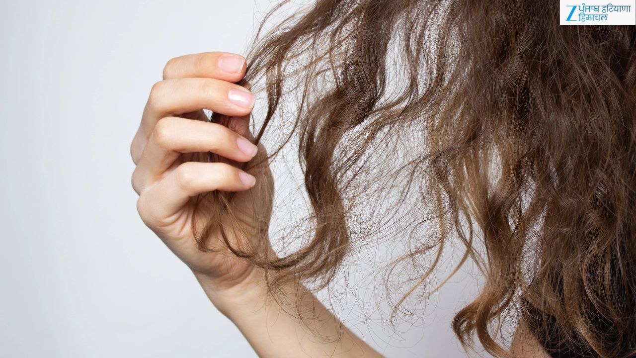 Frizzy Hair Care Routine