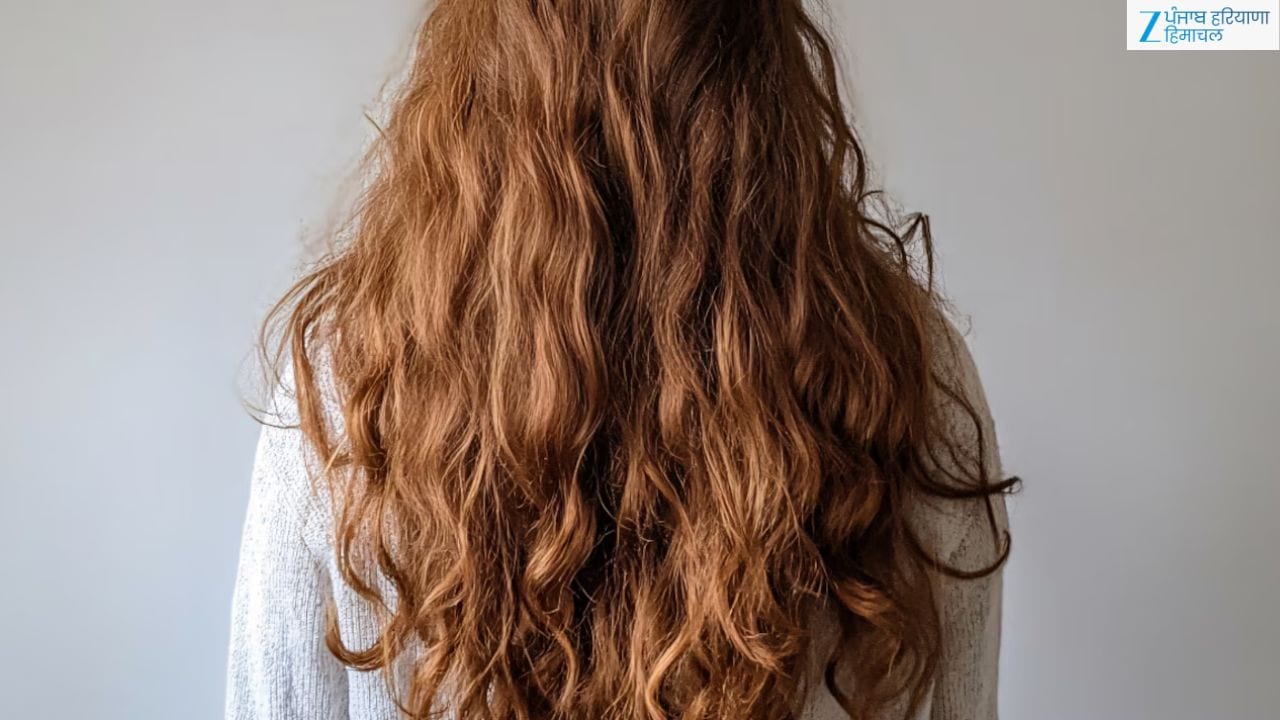 Frizzy Hair Care Routine