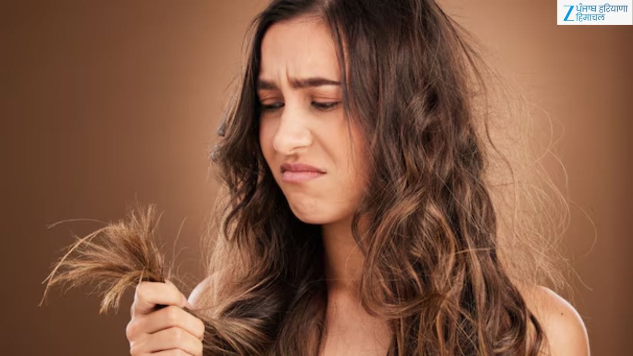 Frizzy Hair Care Routine