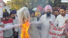'ਆਪ' ਆਗੂ ਤਲਬੀਰ ਗਿੱਲ ਨੇ ਬਿਕਰਮ ਮਜੀਠੀਆ ਦੀਆਂ ਜਾਇਦਾਦਾਂ ਤੇ ਮਾਮਲਿਆਂ ਬਾਰੇ ਵੱਡਾ ਬਿਆਨ